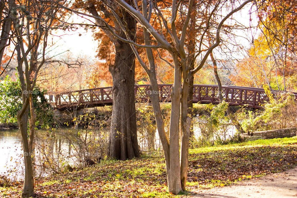 Austin in the fall