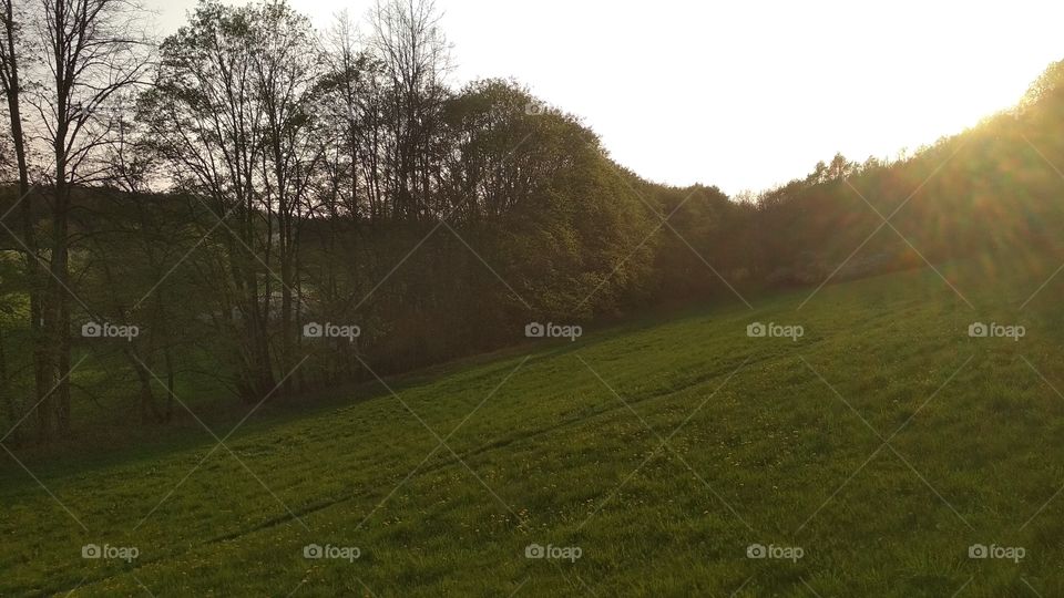 Sanset in Prague park