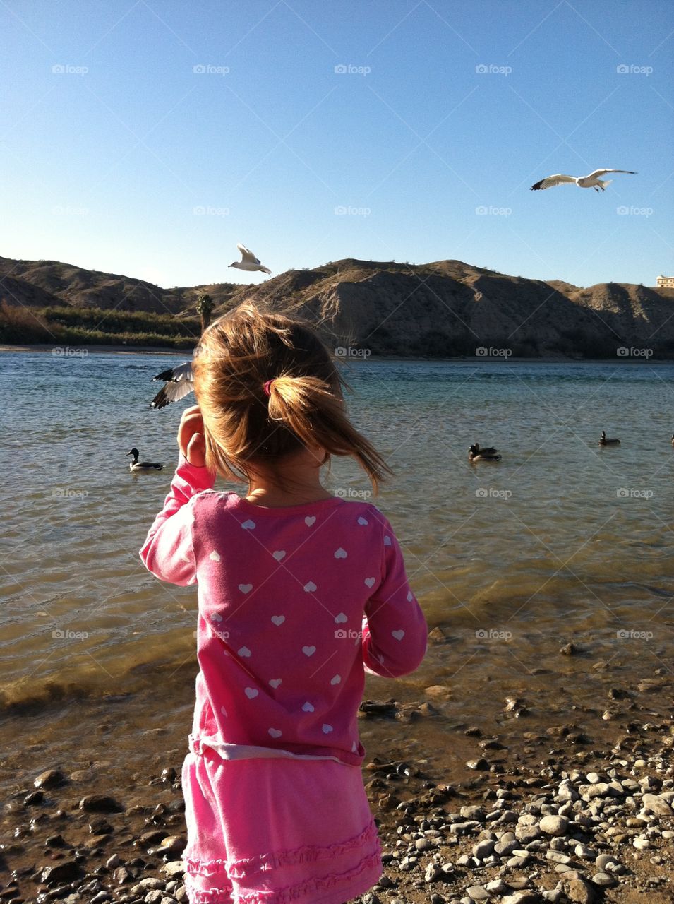 feeding the ducks. at the lake to feed the ducks...the little one are as much bread as the ducks did