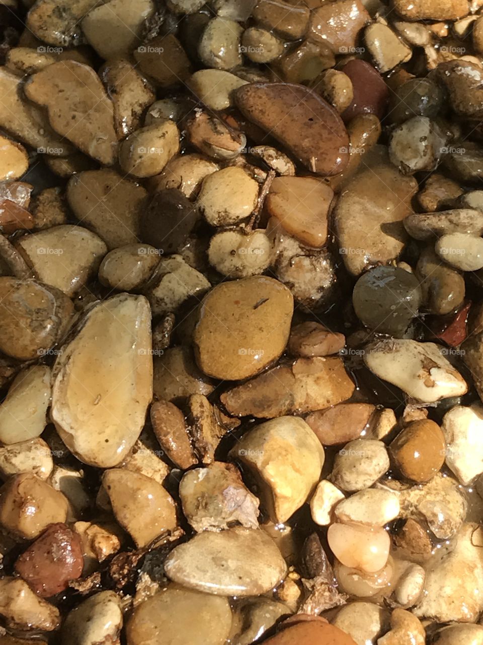 Wet Pebbles
