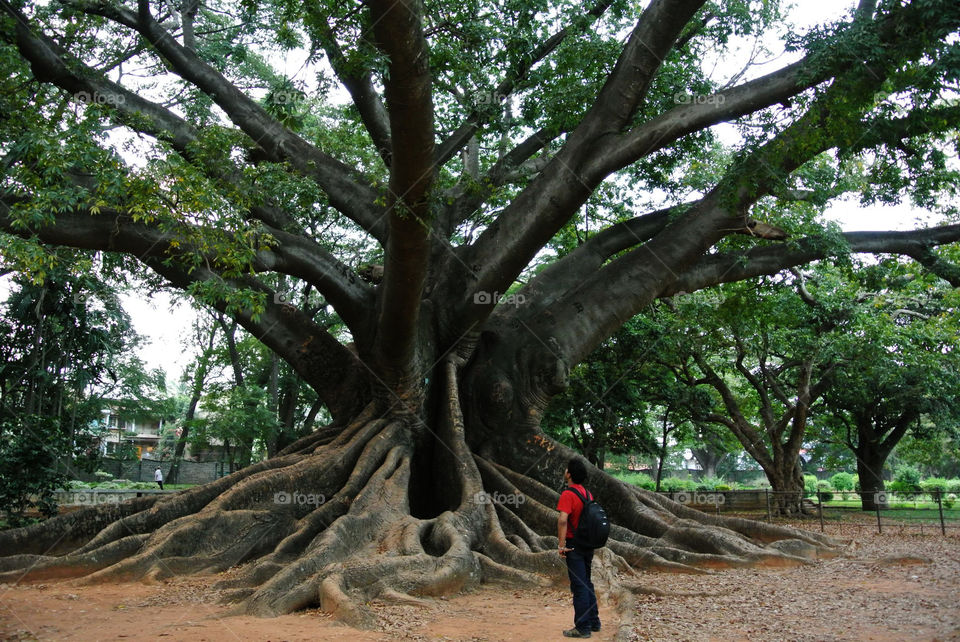 Marvelous Nature