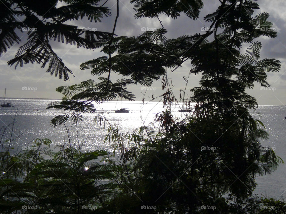 evening a just caraibien by swisstraveler