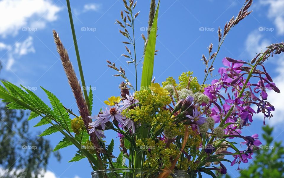 Summerflowers in sweden