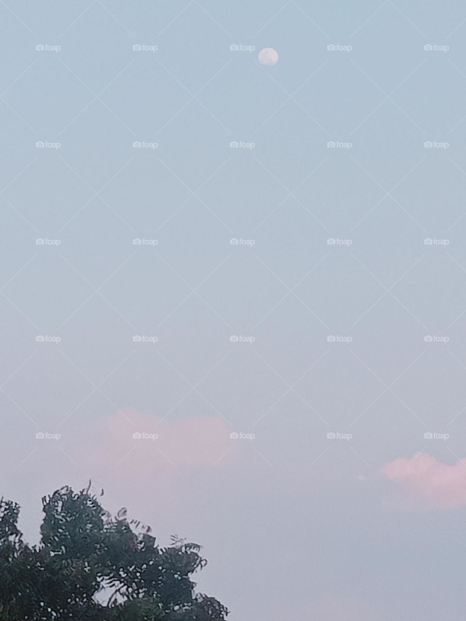 Ravarma VanguvO / Moon day / Day Moon / Day & Night / Happy evening