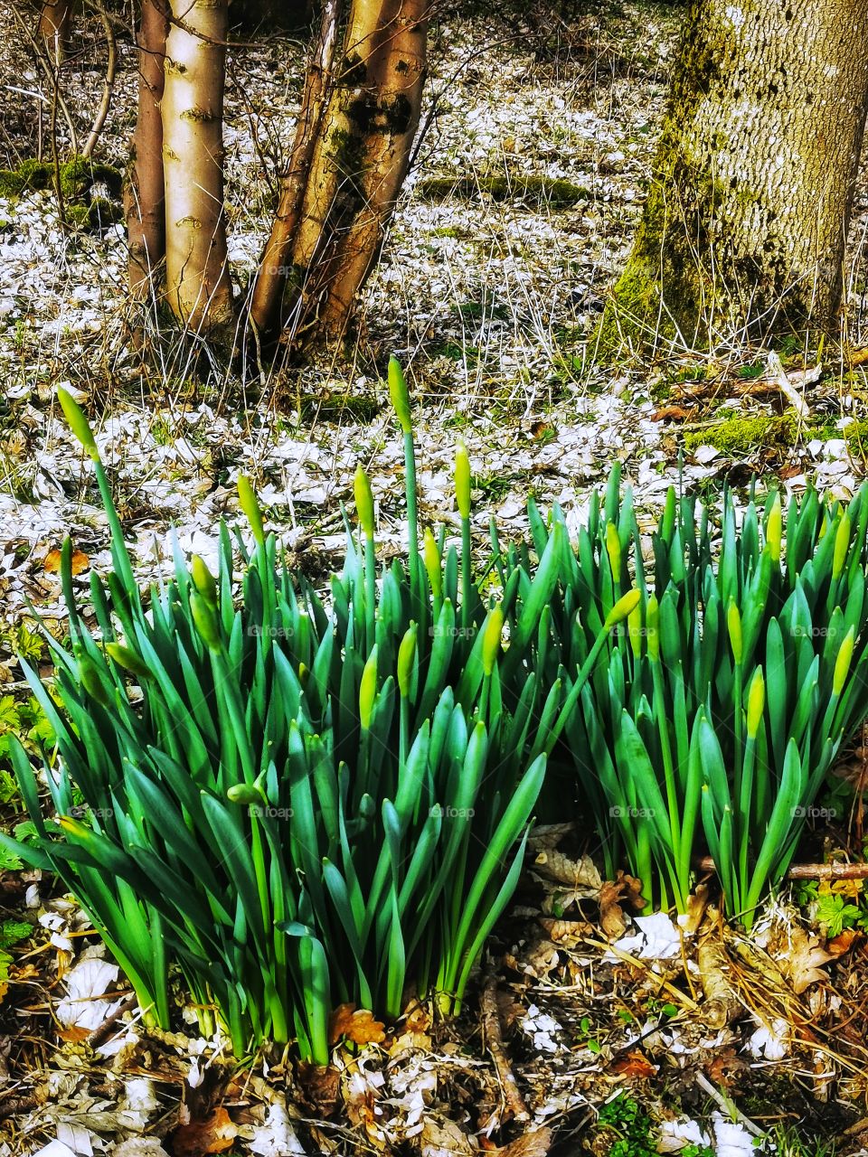 Spring is here