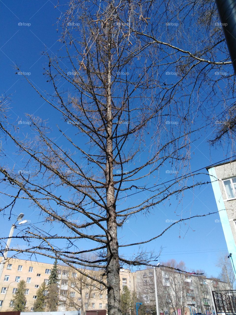 Голубое небо