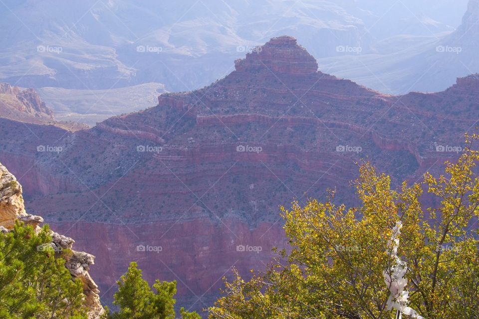 GRAND CANYON, ARIZONA THE GRAND CANYON NATIONAL PARK