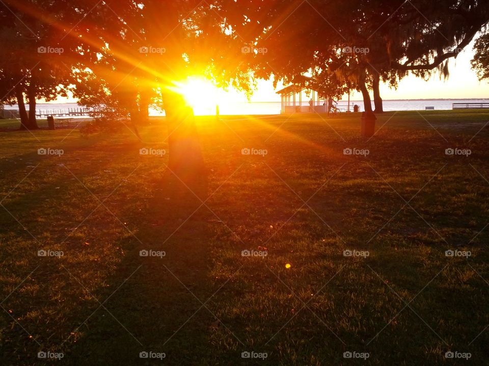 Sunset at the park