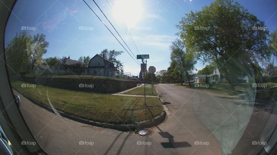 Tree, No Person, Vehicle, Road, Travel