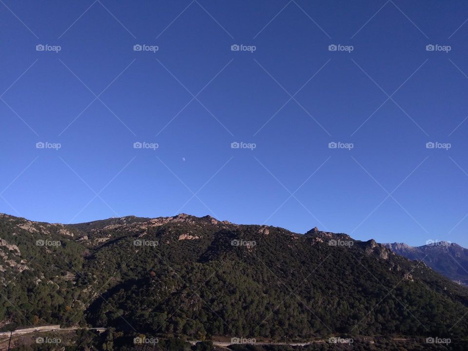 Best of 2021: Nature