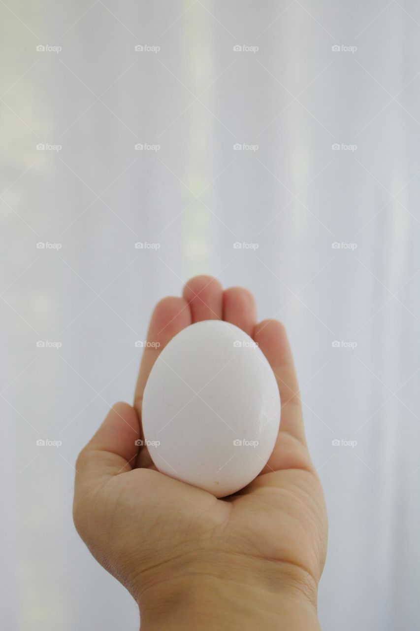 An egg in the hand