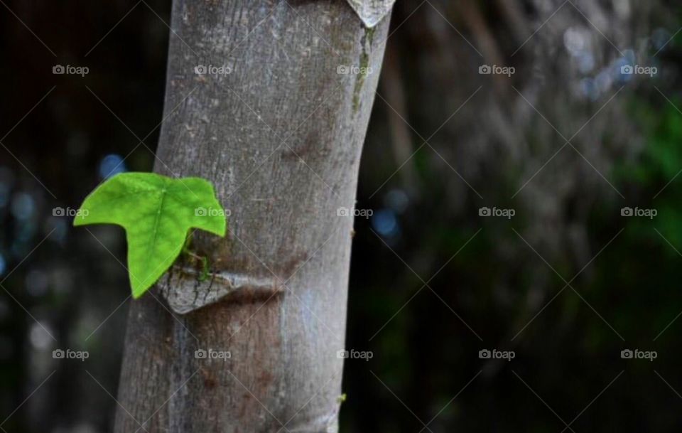 Appreciate the little things