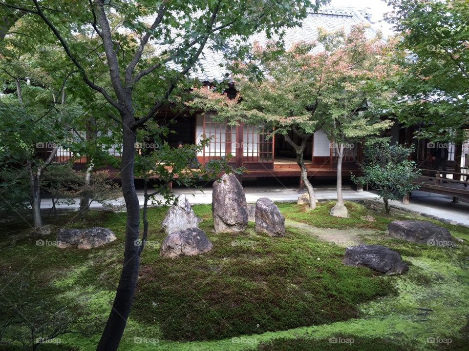 Japanese style garden.