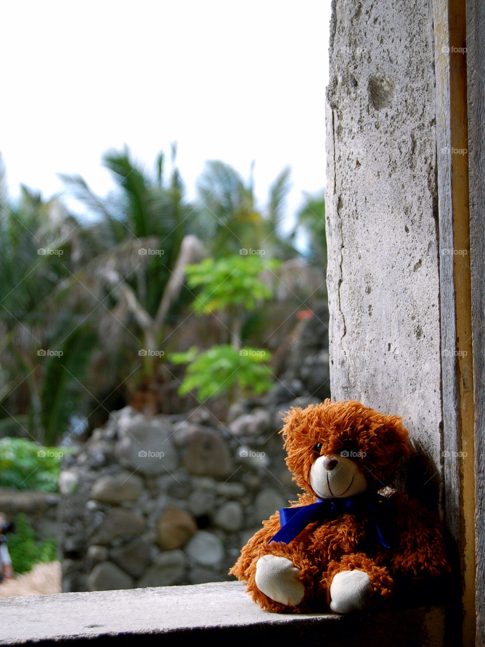 rural window sill teddy bear stone house by miake