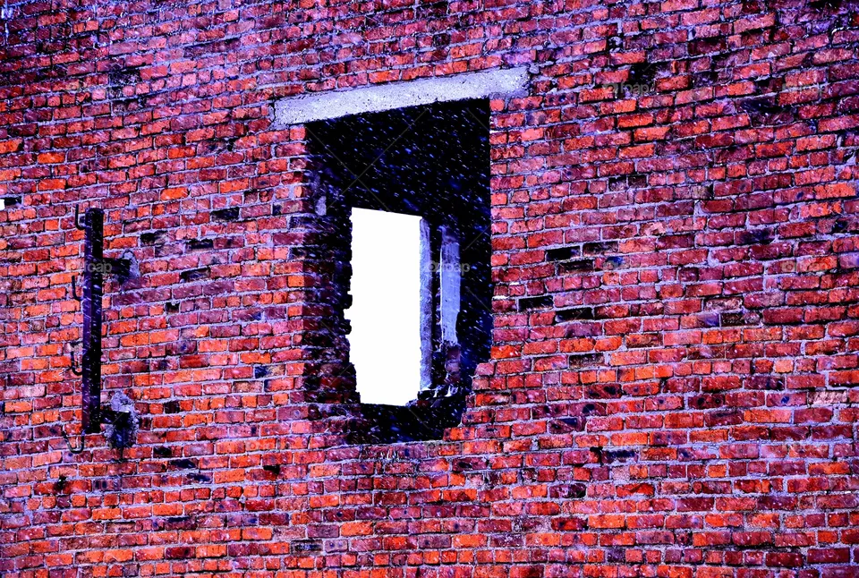 window