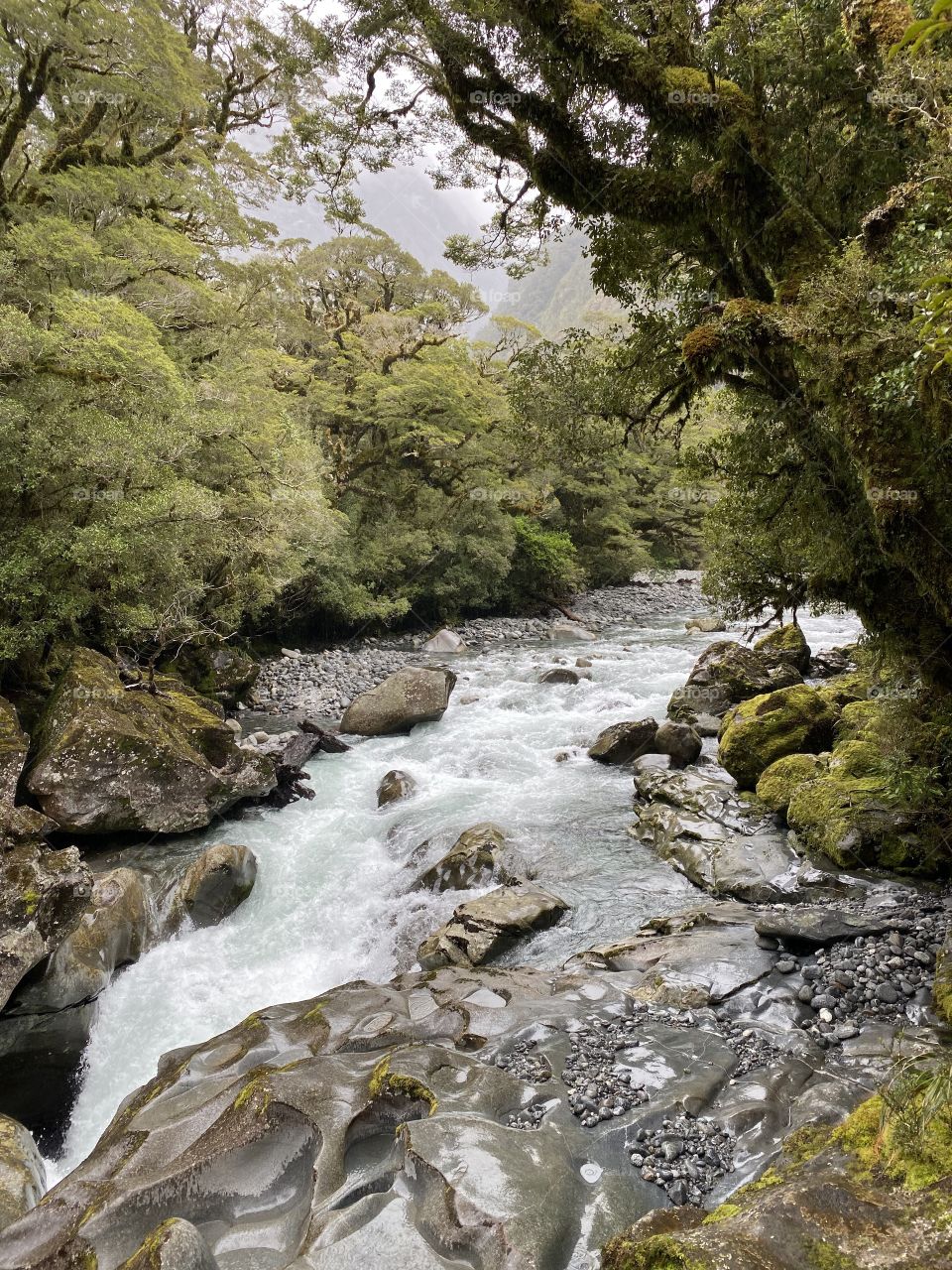 Fiordland National Park