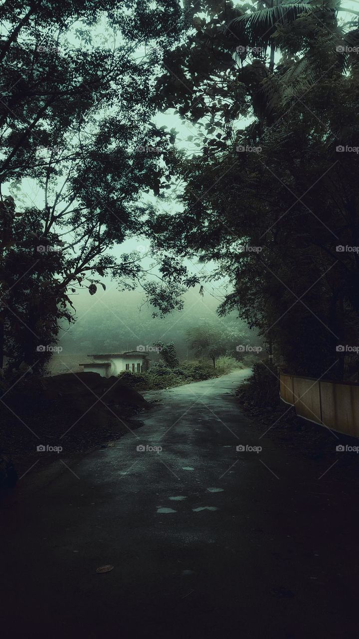Kerala foggy road