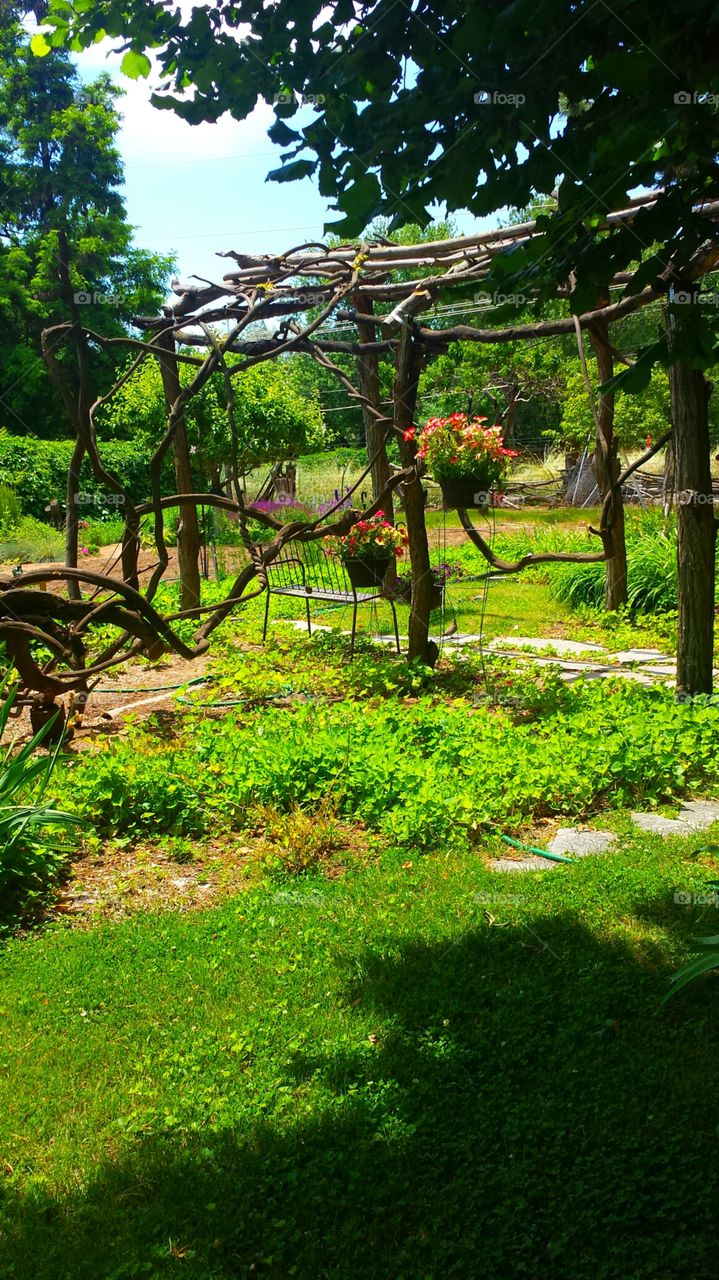 "Backyard Vine Arbor". Boise,  Idaho