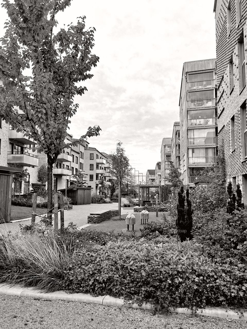 Houses in black and white