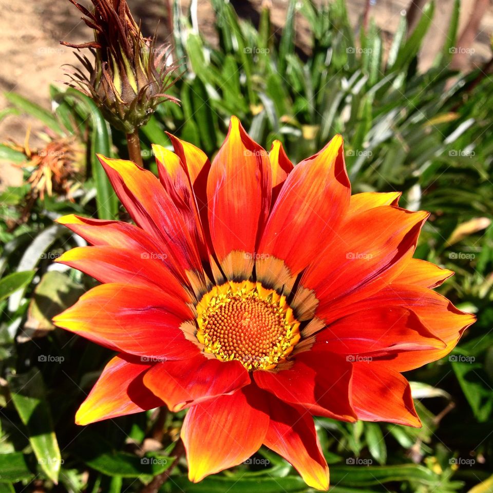 Today I am wise, so I'm changing myself...