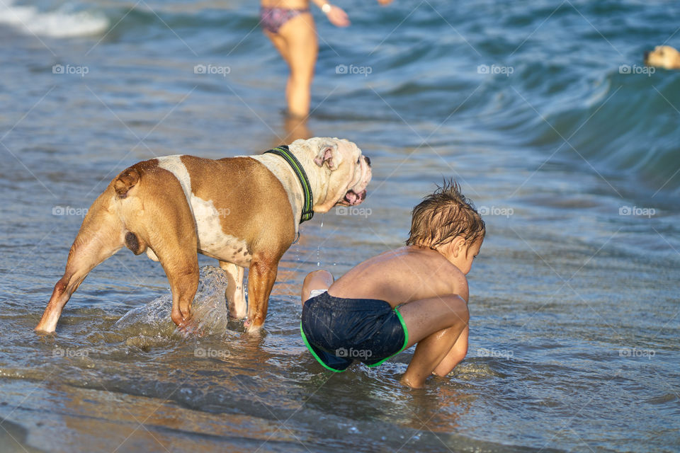 Bulldog and his little owner