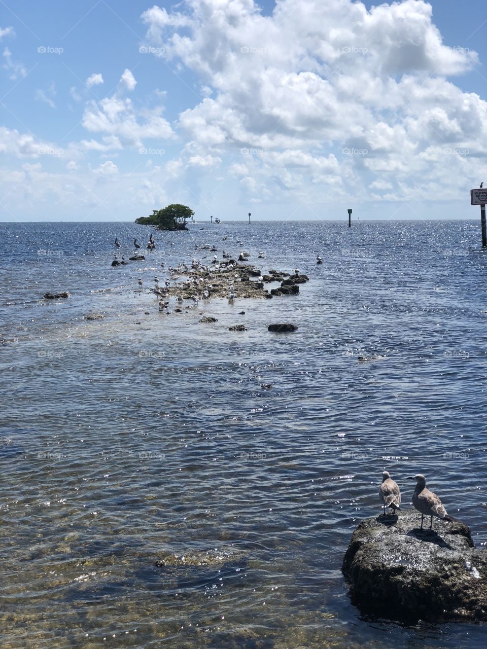 Feels like looking at the end of the world