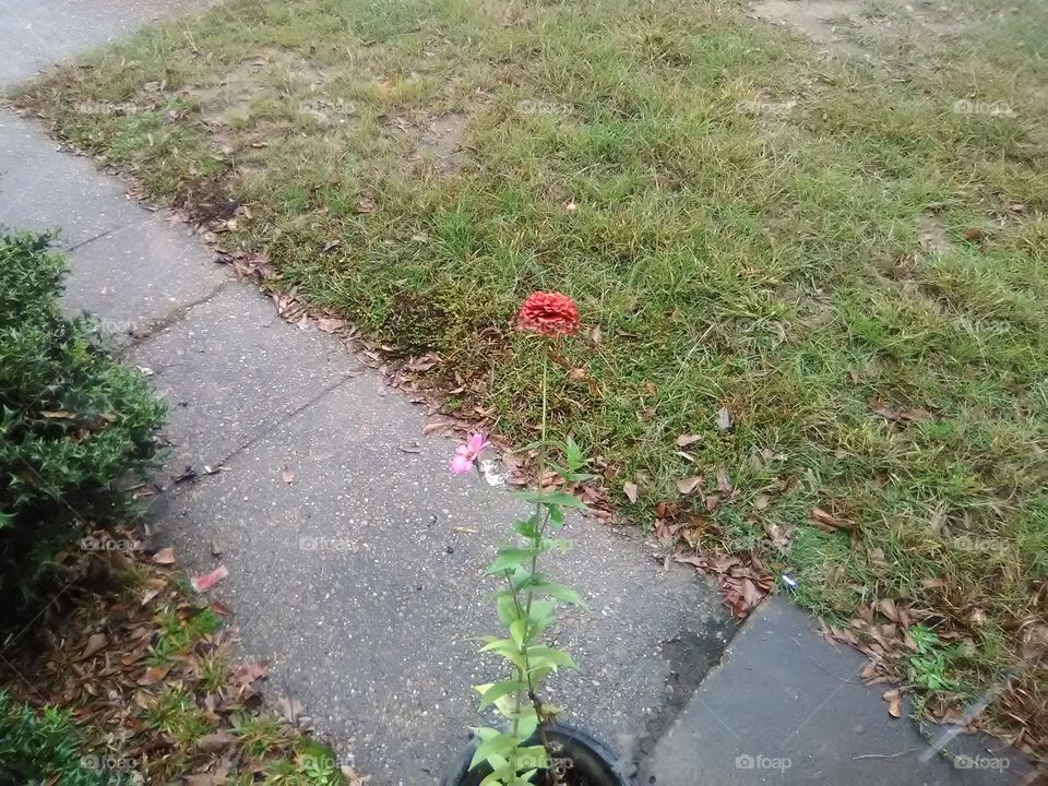 Just the two of us day