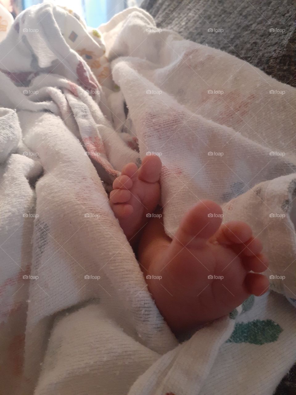 Newborn Toes