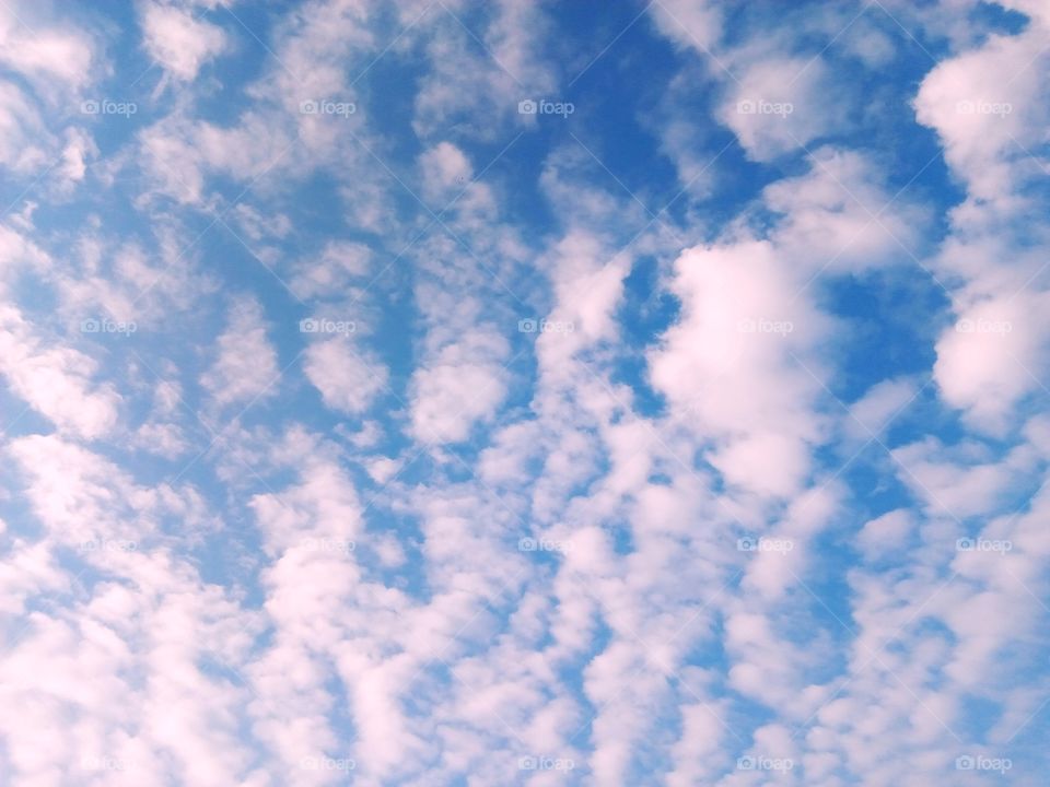 sky