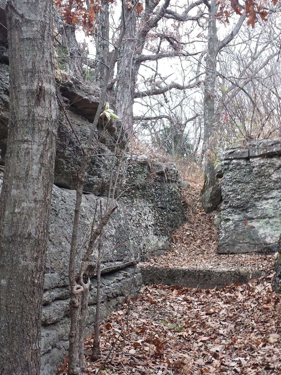 Monkey Mountain Views