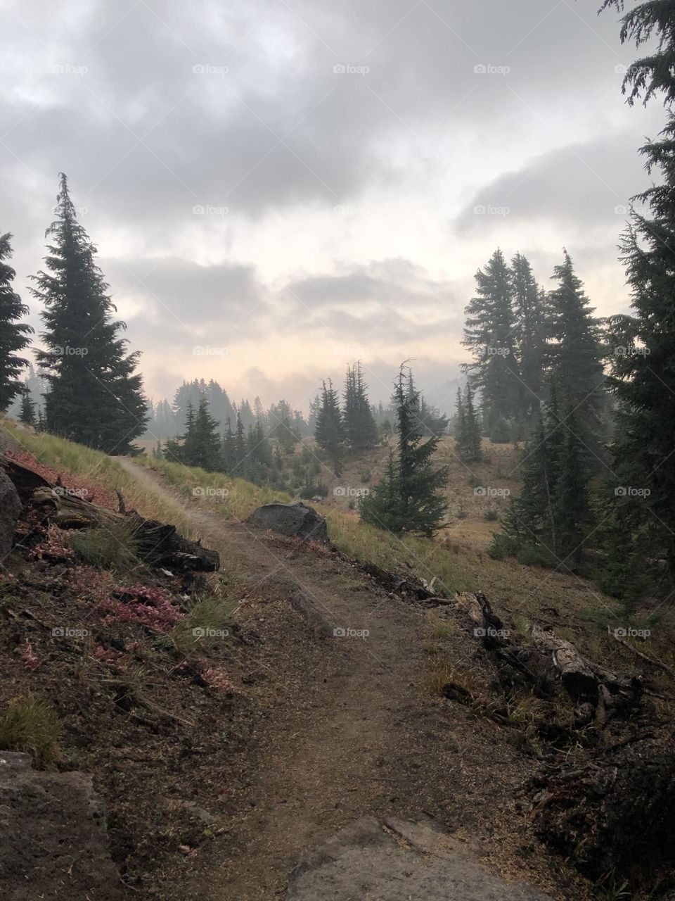 Bend, Oregon. I took this on the back trail while off-roading 