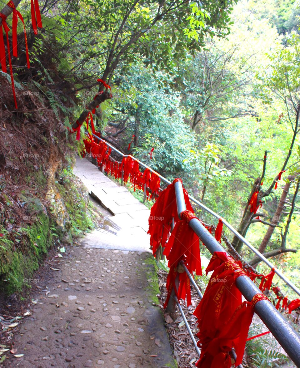 Prayer ribbons in the nature