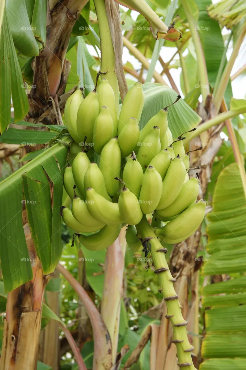 Bunch up