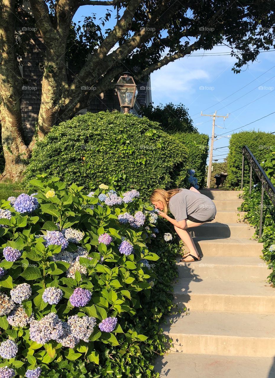 Flowers at Cape Cod B&B