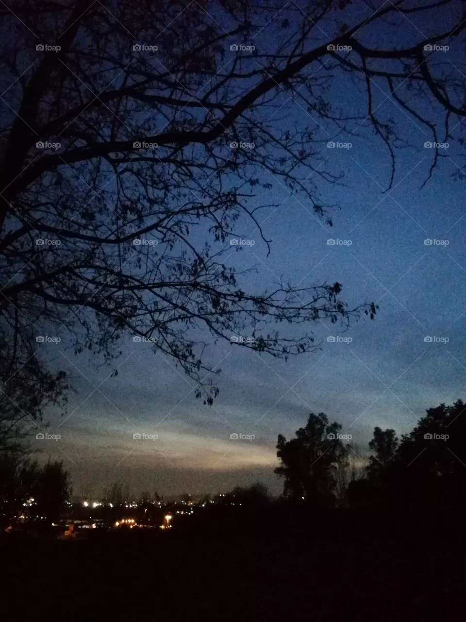 Night