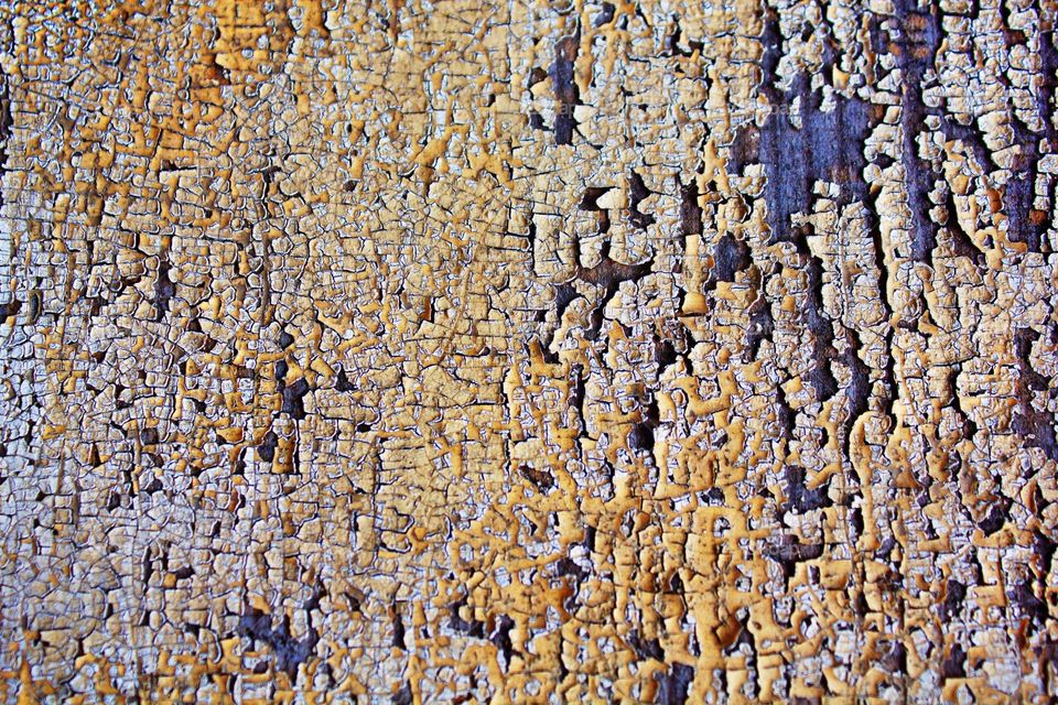 Close-up of a wood stain