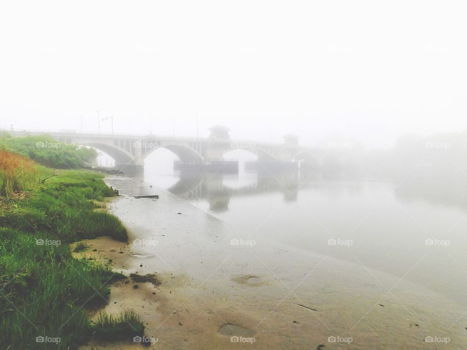 Foggy morning 