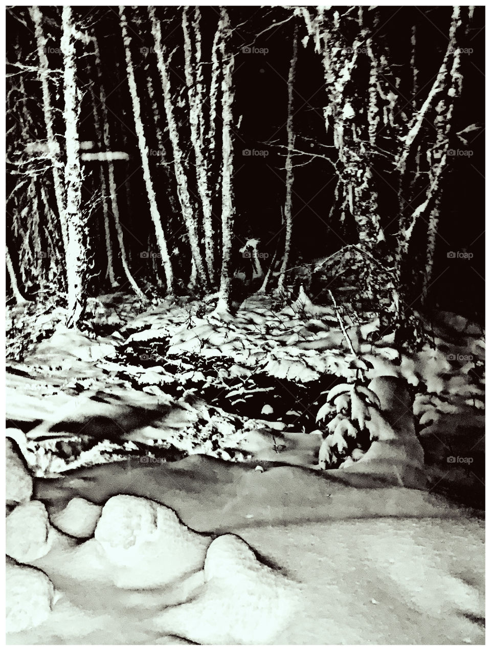 Snowy creek