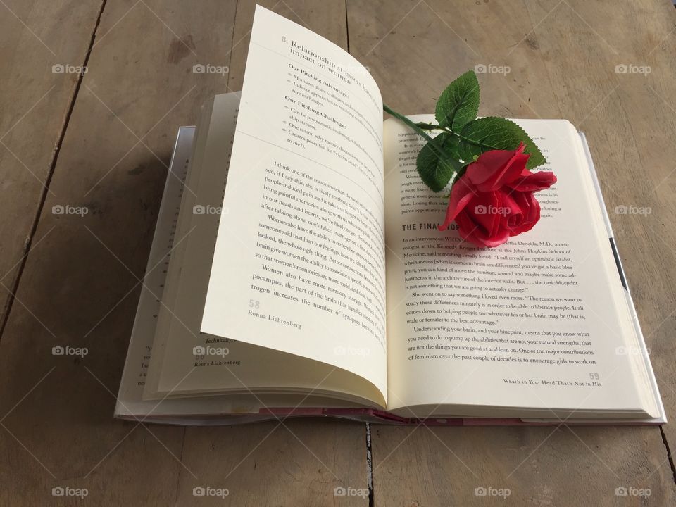 Book with a red rose