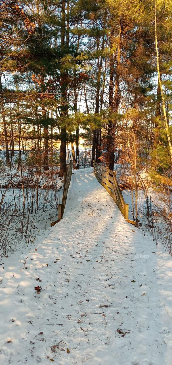 Sculpture Park Trail