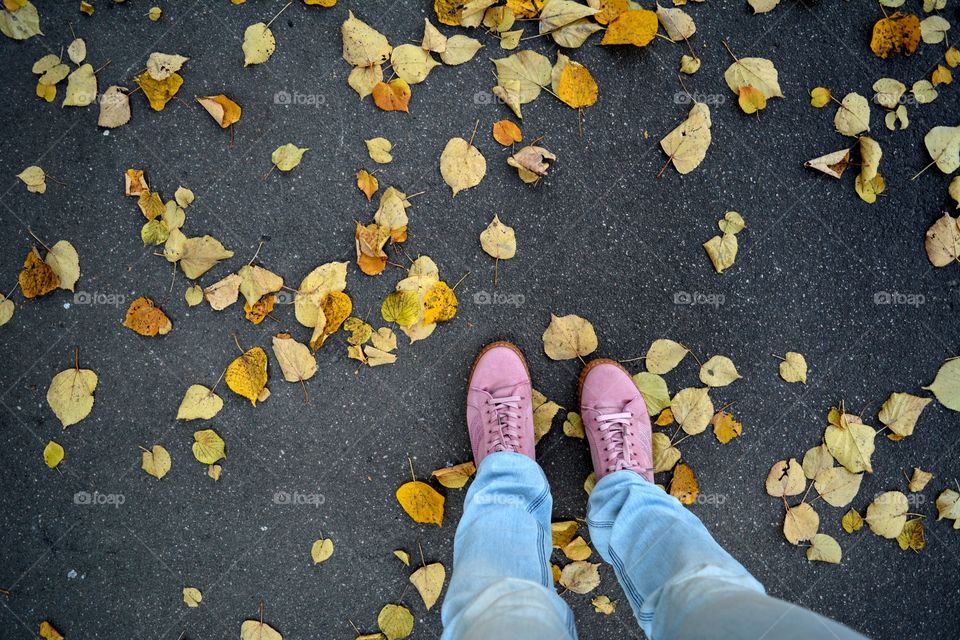 female legs top view and fall leaves on a street walk