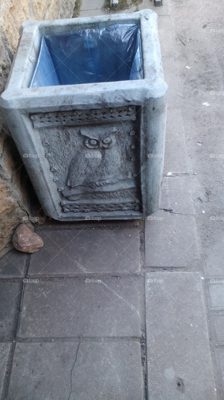 Owls of Vyborg.
