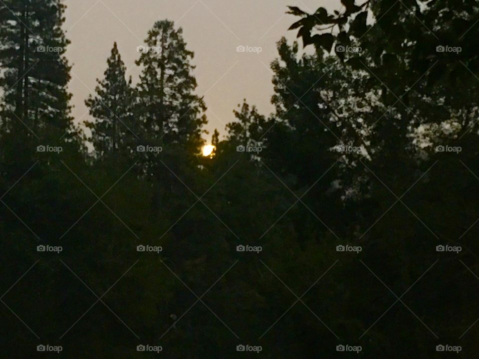 Peeking evening moon Yosemite 