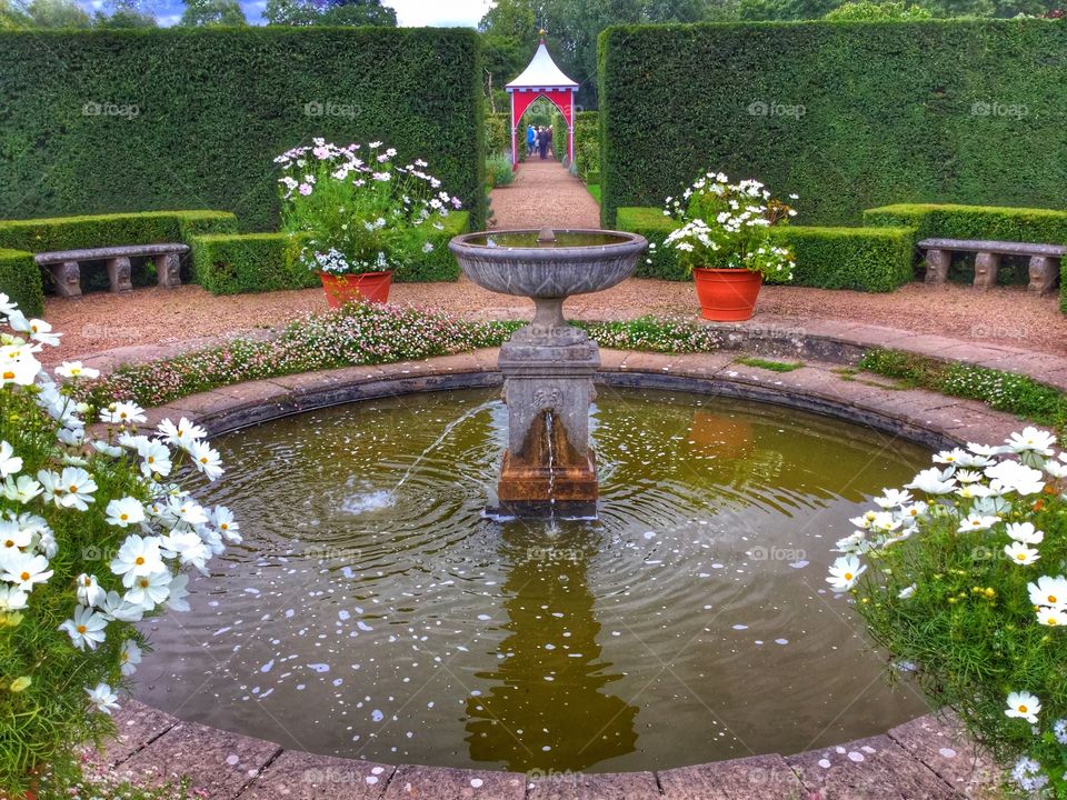 Garden . Fountain