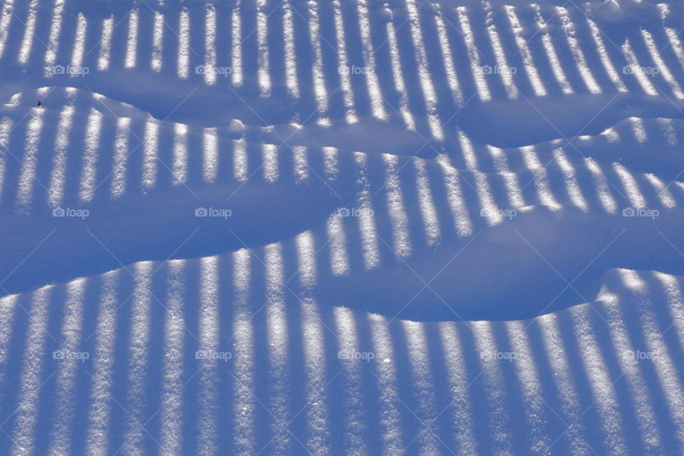 Fences shadow on the snow. 