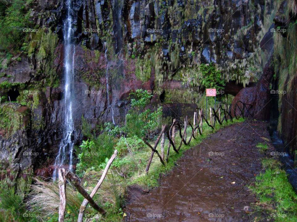 green path wet canals by KathOnEarth