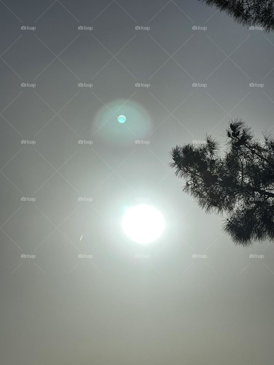 Inspiration and beauty 