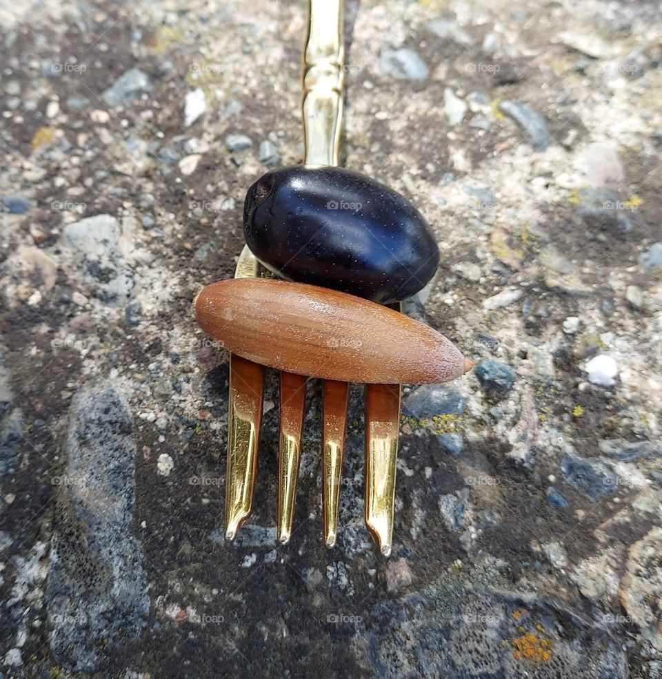 nature fork,  golden nature fork with wild tasty treats 😋