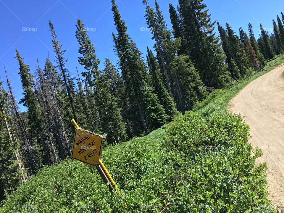 Traveling up Buffalo pass. 