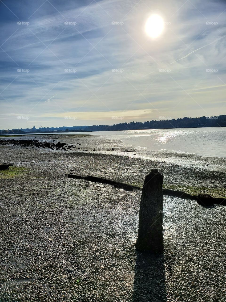 Autumn at the Puget sound